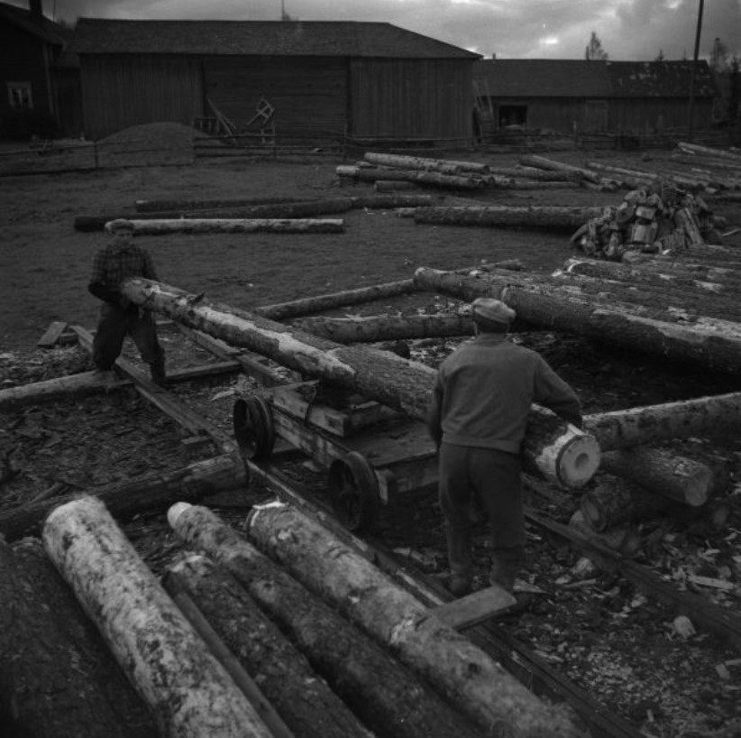 Kaksi miestä siirtää ontoksi työstettyä puurunkoa kiskoilla kulkevaa lavettia hyödyntäen. Taustalla maatilan piharakennuksia puunrunkoja erilaisissa kasoissa.